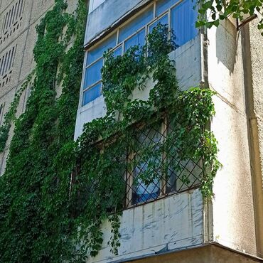 центр отдыха караенквартирыквартира в авроре 1 комнатные в близи центр отдыха комсомол 1 ком квартиры студия: 4 комнаты, Собственник, Без подселения, С мебелью полностью