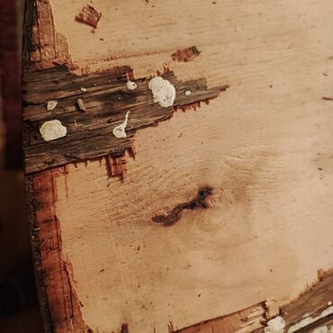 Masalar: Qonaq masası, İşlənmiş, Açılan, Taxta, Yumru masa — 19