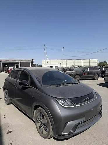 электро машины мини: BYD Dolphin: 2023 г., 0.1 л, Автомат, Электромобиль, Хэтчбэк — 1
