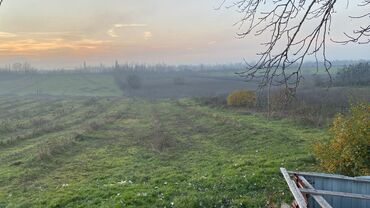 Torpaq sahələrinin satışı: Kənd təsərrüfatı — 9