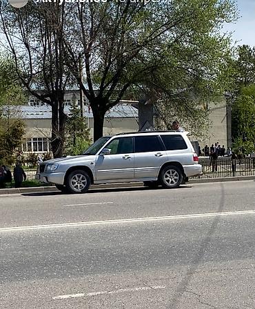 outback 2008: Subaru Forester: 2000 г., Бензин, Универсал — 2