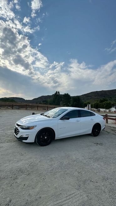 Chevrolet: Chevrolet Malibu: 2019 г., 2 л, Газ