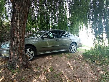 порш турбо с: Infiniti i30: 2000 г., 3 л, Автомат, Бензин, Седан — 1