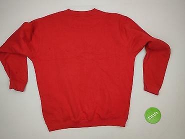 chamur national: James & Nicholson, Bluza dla mężczyzn, rozmiar XL — 4