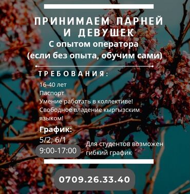 Операторы Call-центра: Требуется Оператор Call-центра, График: Шестидневка, Менее года опыта, Полный рабочий день, Оплачиваемый отпуск