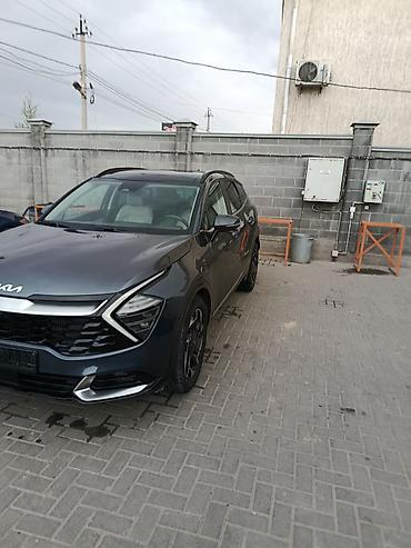 ск шерой: Kia Sportage: 2021 г., 1.6 л, Автомат, Бензин, Кроссовер — 6