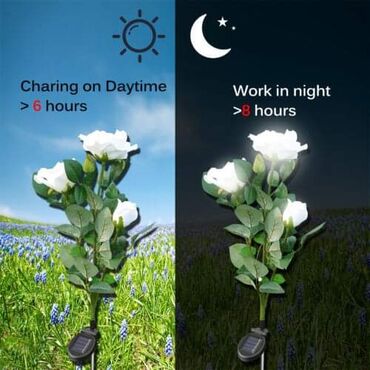 Rasveta: Solarno cveće AKCIJA Cena 1 kom 1250 din 2 kom 2050 din 3 kom 2750 — 5