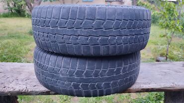 Шины: Шины 195 / 65 / R 16, Всесезонная, Б/у, Пара, Легковые, Китай, Pirelli