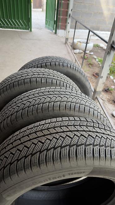 continental: Шины 255 / 60 / R 20, Лето, Б/у, Комплект, Внедорожные (АТ/МТ), Continental — 10