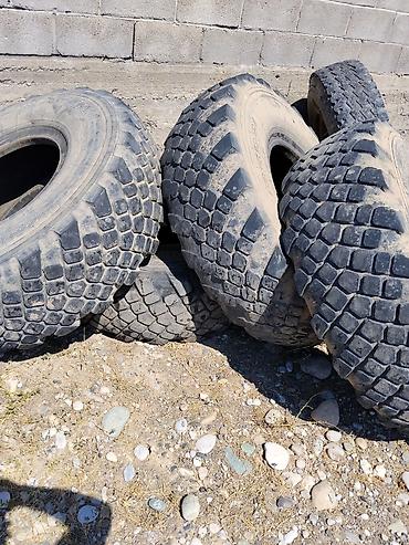 мото ендуро: Шины для внедорожной/спецтехники 425/85R21 (радиальные, стальные — 4