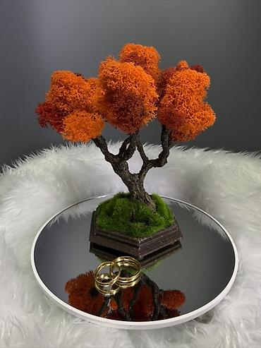 Другой декор и предметы интерьера: Декоративное настольное деревце Бонсай из стабилизированного мха- — 2