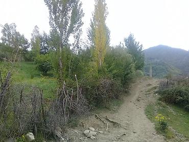 Torpaq sahələrinin satışı: 14 sot, Tikinti, Mülkiyyətçi, Kupça (Çıxarış) — 3