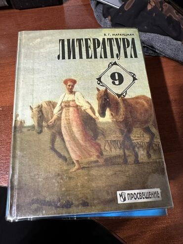 Другие учебники: Предлагается комплект учебников для 9 класса: литература, физика
