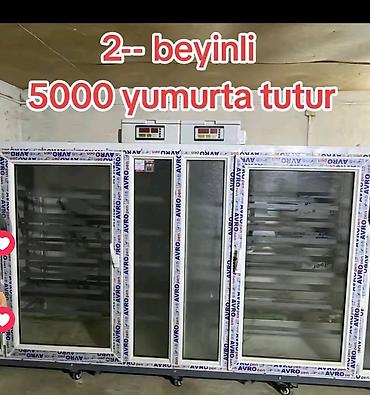 Təzə ela vəziyyətdədir bir dəfə istifadə olunub 2 beyni var iki