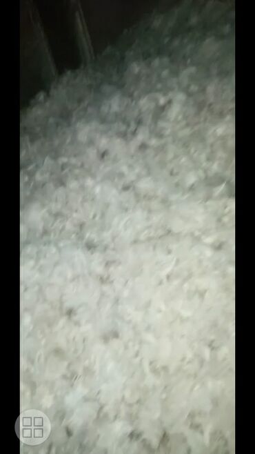 Balışlar, yastıqlar: Yuxu üçün Yeni Yastıq, Ödənişli çatdırılma — 3