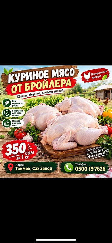 икра кеты бишкек: Куриное мясо от бройлера — натуральный продукт - Свежее, вкусное — 3