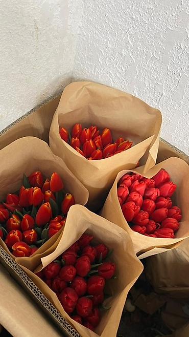Букеты из живых цветов: Тюльпаны в букете-миксе - Срезанные тюльпаны в крафт-упаковке — 19