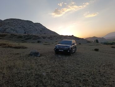 шина сентир: Toyota Land Cruiser: 2014 г., 4.6 л, Автомат, Бензин, Жол тандабас