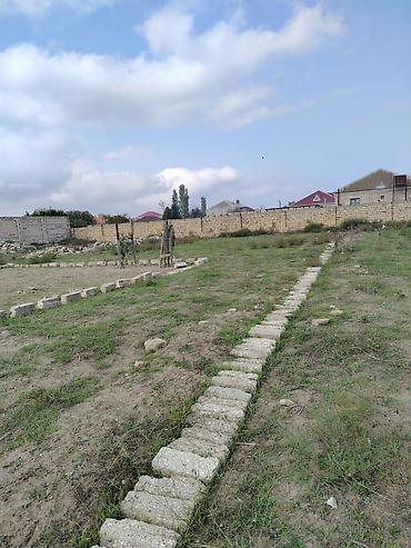 sut satisi: 4 sot, Tikinti, Bələdiyyə — 2