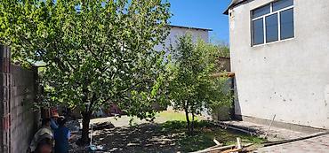 Долгосрочная аренда домов: 200 м², 5 комнат — 17