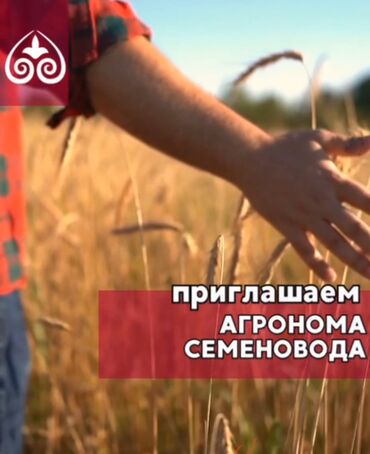 авто электрик сокулук: Талап кылынат Агроном, Төлөм Ай сайын, Үйлөрүнө жеткирүү