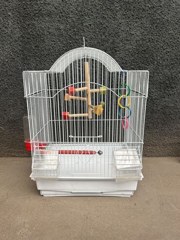 ласка животное: Клетка для попугаев 
Кара-Балта 
Новая .
Все есть