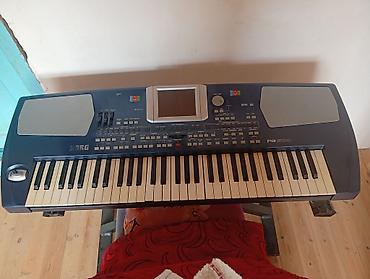 3 tekerli velosiped type 1: Korg Pa500 aranjor sintezator - 61 klavişli (sürətli toxunuşa həssas) — 1