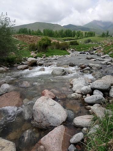 Туристические услуги: Кымызолечение в Чоң-Кемине🏔 130км от Бишкека🛣 Хорошие условия — 12