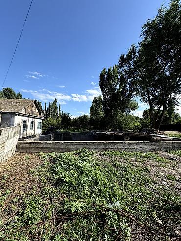 ферма центр: 📌В селе Полтавка продается дом на участке 33 соток (фактически 40 — 2
