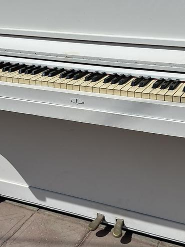 ağ piano: Ağ rəngli akustik upright pianino - Klassik vertikal korpus, sadə və — 4