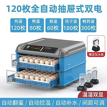 Инкубаторы: Инкубатор для яиц, полностью автоматический, «двойное питание» — 5