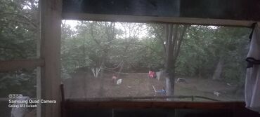 Bağ evlərinin satışı: Qax, 55 kv. m, 1 otaqlı — 9