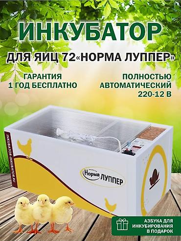 услуга инкубатора: Инкубаторы Россия Блиц Матрица Норма в наличии бар 36 жумурткадан — 9