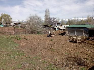 Продажа коттеджей и домов: Продажа коттеджей и домов — 13