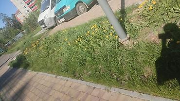 55 дюм: Услуги грузоперевозок на малотоннажных фургонах - Тип транспорта — 2