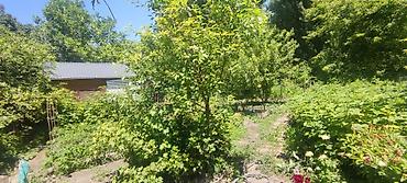Продажа коттеджей и домов: Продаётся дом 95квадрата,9,5 соток земли.Дом находится в экологически — 15