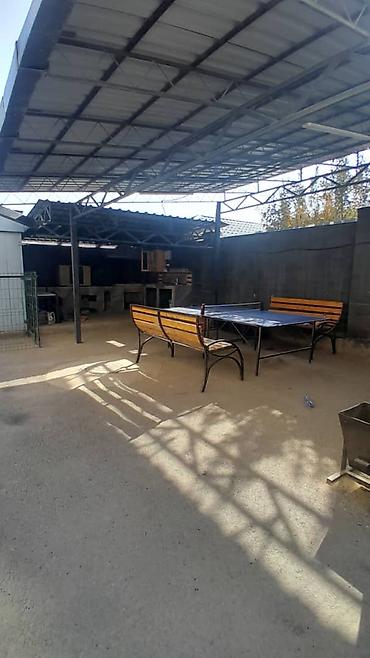 Ковры и паласы: Ковер — 26