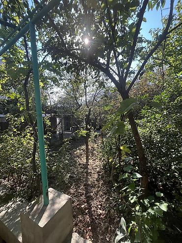 yarım tikili ev: 3 otaqlı, 80 kv. m — 3