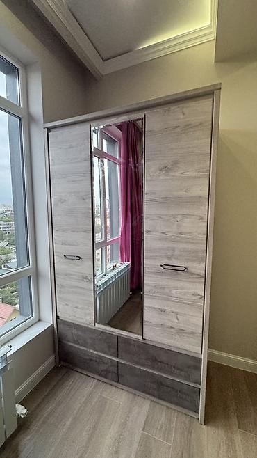 standing mirror: Шифоньер, шкаф для одежды, Б/у, Прямой, ЛДСП — 1