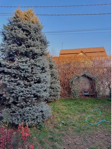 Продажа домов: Дом, 110 м², 4 комнаты, Собственник, Косметический ремонт — 18