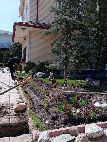 Газон: Газон
Автополив
Ландшафтный дизайн — 8