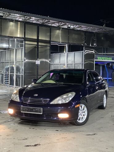 цеп на колесах: Toyota Windom: 2001 г., 3 л, Автомат, Бензин, Седан