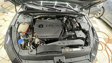 кормашки для к5: Kia K5: 2021 г., 2 л, Автомат, Газ, Седан — 5