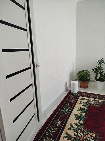 5: 2 комнаты, 50 м², 3 этаж, Свежий ремонт — 1