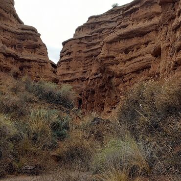 Трансфер, пассажирские перевозки: По региону, Аэропорт, По городу Такси, легковое авто | 4 мест — 19