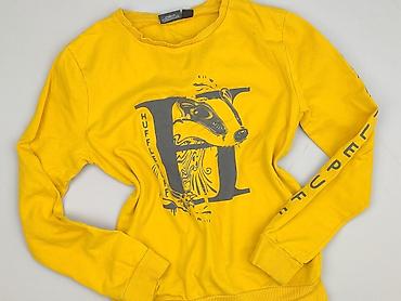 sweter harry potter: Harry Potter, Bluza damska
, rozmiar 2XS — 1