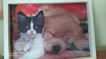 шотландская кошка: Картина 3 д кошка и собака Советских времен,антиквар. Состояние