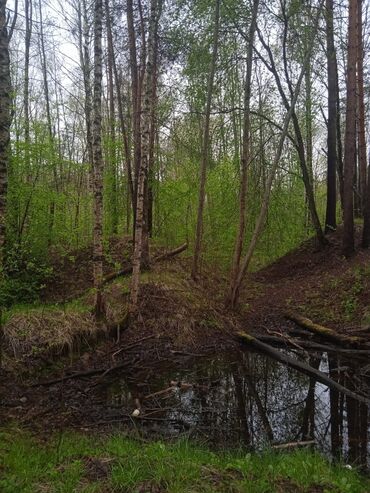 без подселения это: 10 м², С мебелью