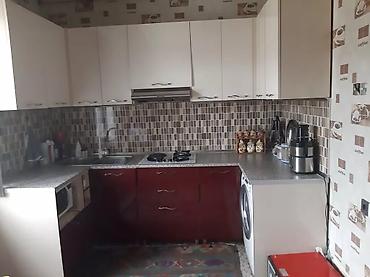 Həyət evi alıram: - Geniş, daşla döşənmiş həyət: yaşıl ağaclar, gül kolları, hasarlı — 5