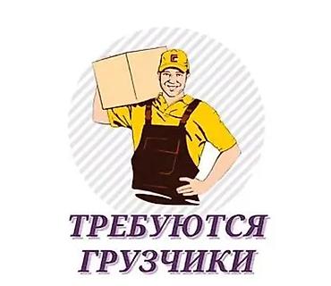 работа официант ош: НАРОДНЫЙ СООДА ҮЙҮНӨ Жүк ташуучу кызматкер (ГРУЗЧИК) керек — 1